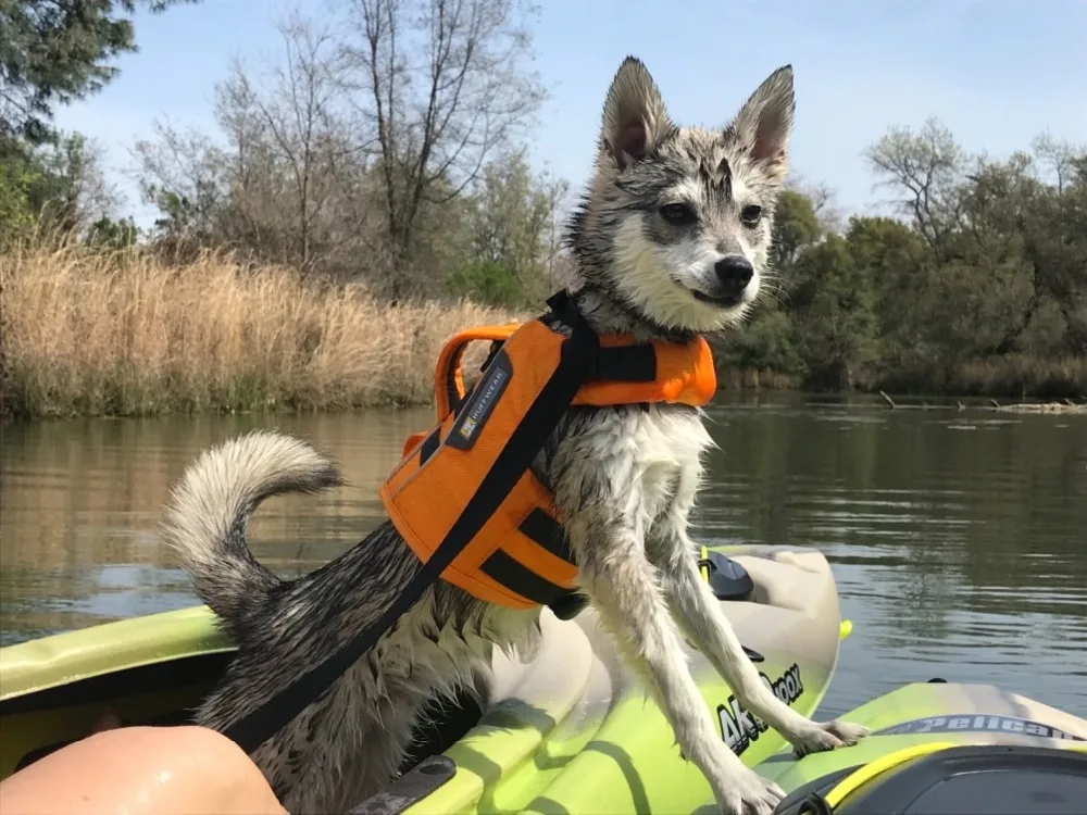 K-9 плавающий плащ для собак, плавучий, безопасный, светоотражающий