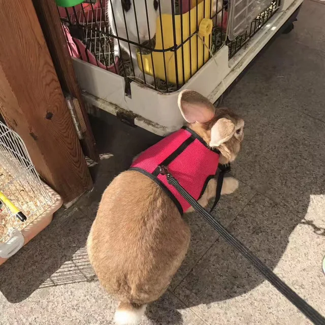 Rabbits Hamster Vest Harness With Leash,Bunny Mesh Chest Strap