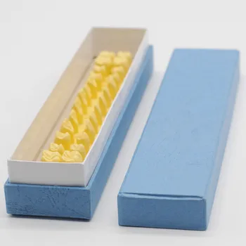 

Dental 1:1 Permanent Plastic Teeth Model Base Tooth Anatomical Anatomy Model Dental Study Practice Teeth Care