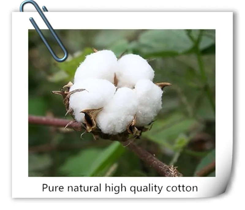 t0185bf8dc1c01b1cd7__