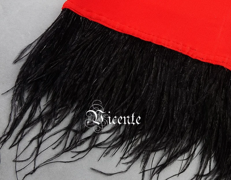 HL5077 RED 6