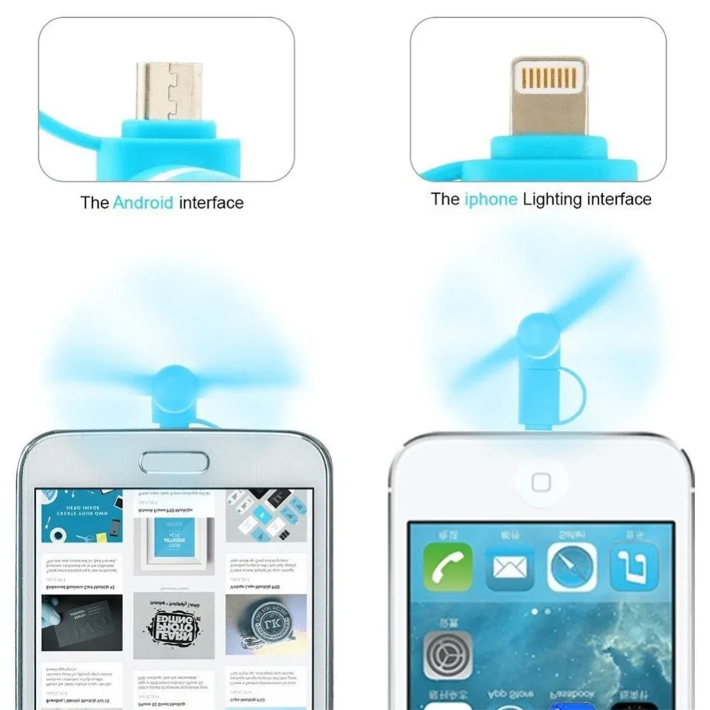 244269_no-logo_244269-1-09