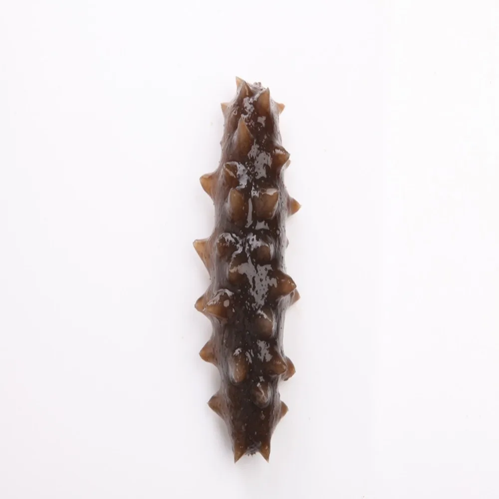 

Simulation Sea Cucumber Model Fake Sea Cucumber Seafood Seafood Hotel Restaurant Decoration Simulation Food Display Teaching Pro