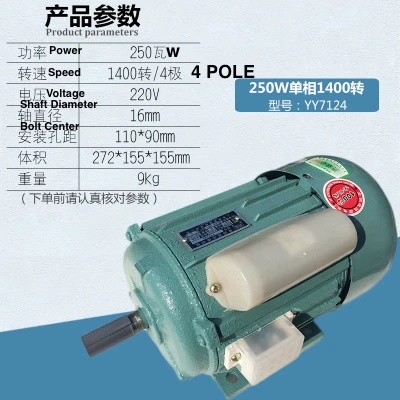 

Copper Core 250W Single Phase Motor