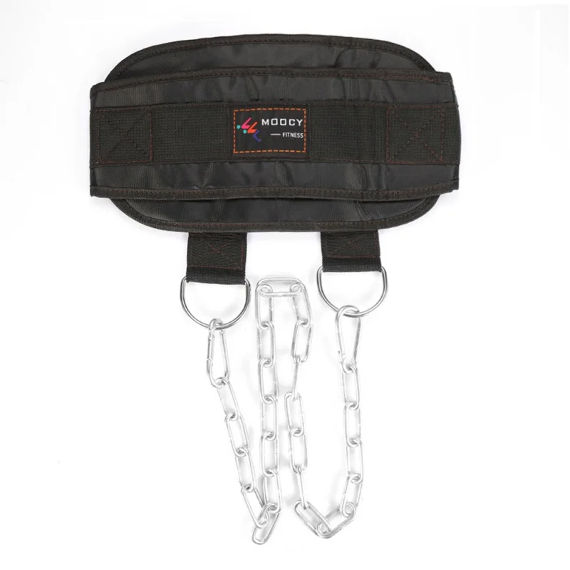 Waist Strength Fitness Equipments Dip Belt Weight Lifting Gym Body Waist Strength Training Power Building Dipping Chain Pull Up