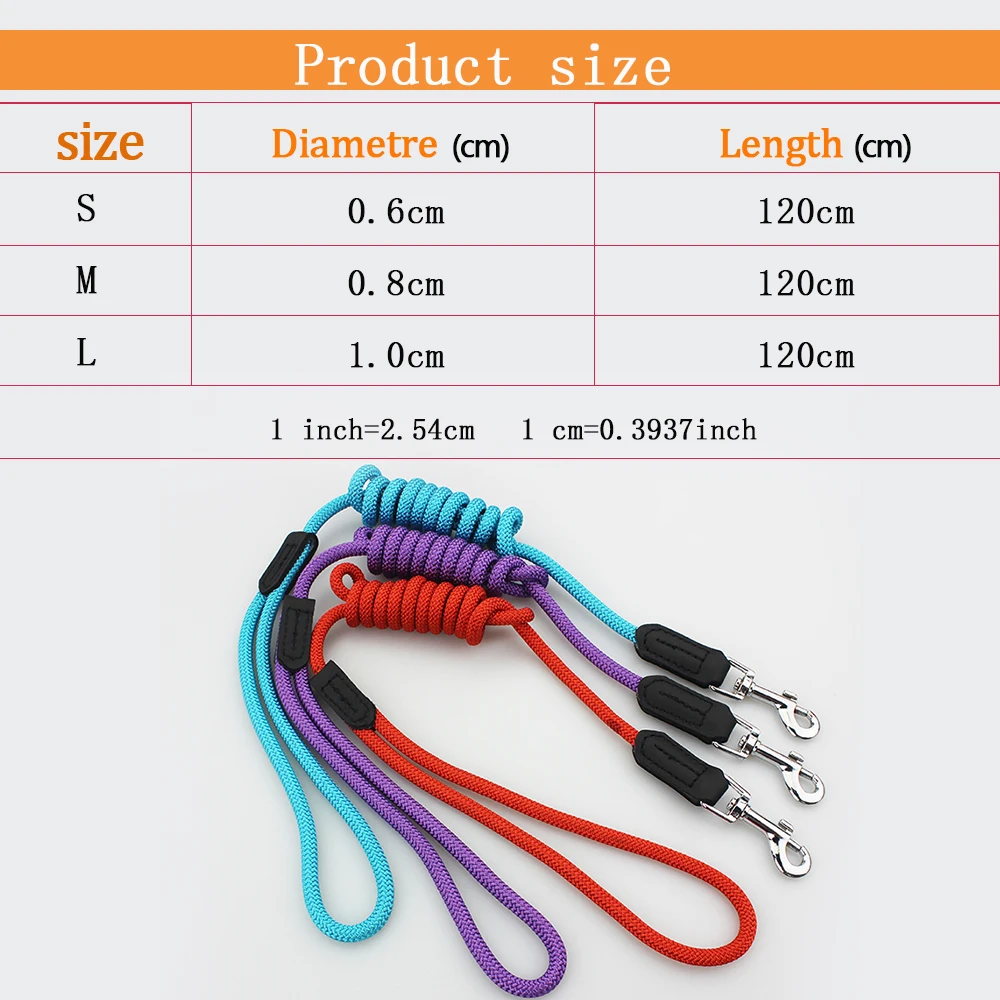 dog leash 2