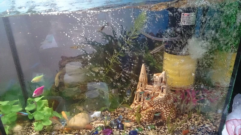 UT89B8.XOtXXXagOFbXo_