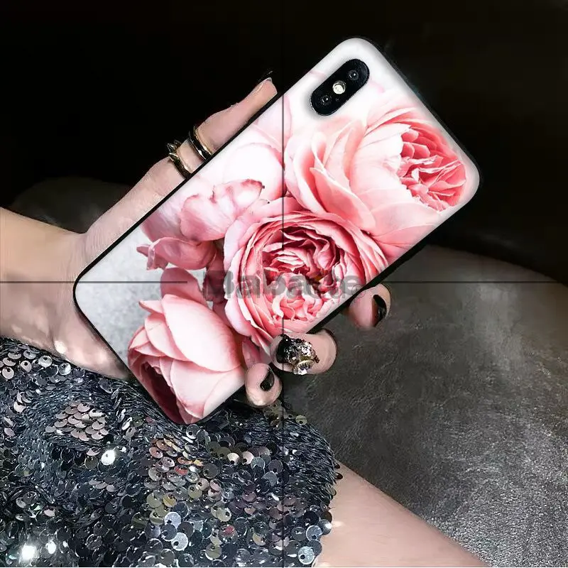 Nature and flowers Peony Rose