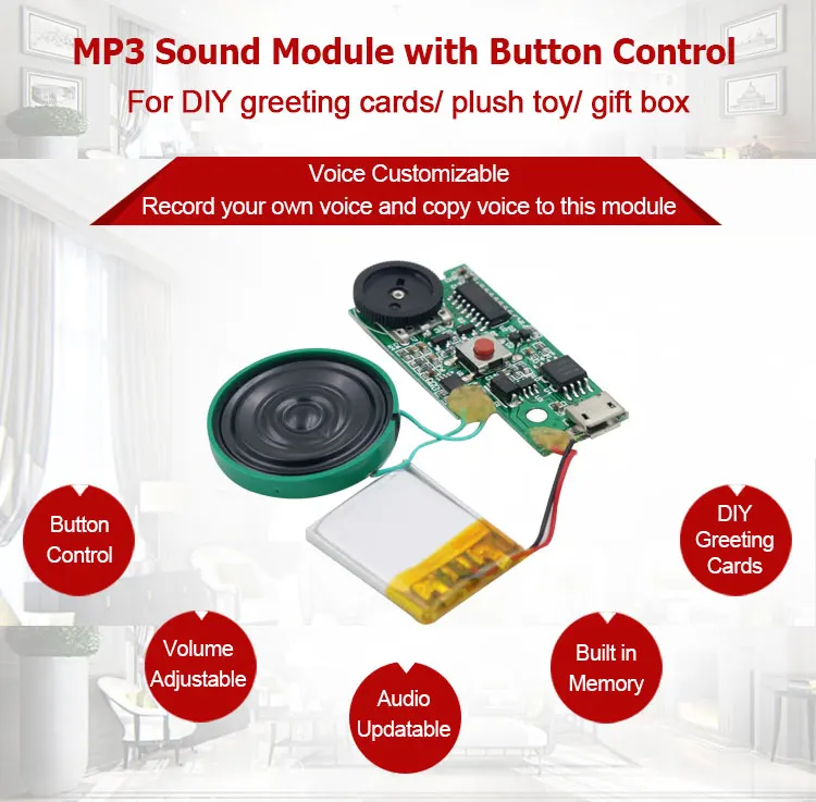 sound module (1)