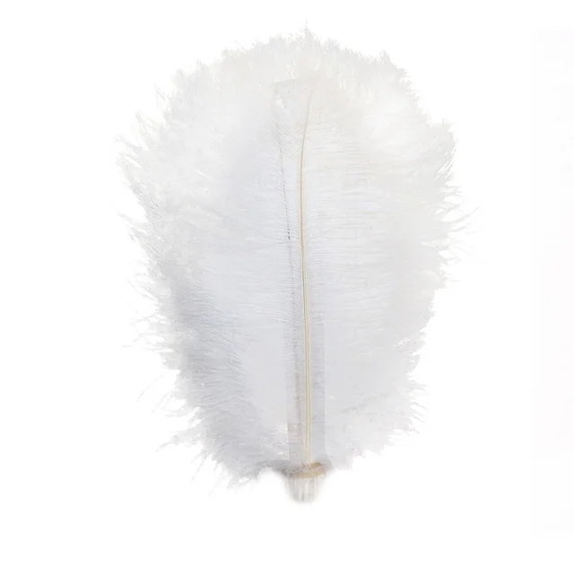 10pcs Lot Black Natural Hard Rod 15cm 20cm 25cm 30cm 35cm 40cm 10pcs Lot Black Natural Hard Rod 15cm 20cm 25cm 30cm 35cm 40cm Ostrich Feathers Wedding Birthday Party Christmas Decorations