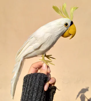 

30cm beautiful white feathers parrot bird artificial cockatoo bird handicraft prop,home garden decoration gift p1910