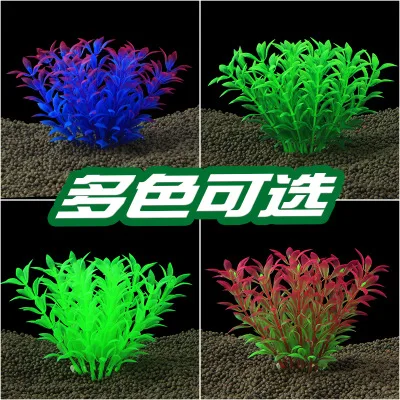 6pcs/Lot * Wholesale aquarium supplies fish tank aquarium landscaping plastic simulation water grass CO50
