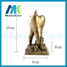 Artware Teeth resin handicraft Dentist Gift Resin Crafts Dental clinic decoration furnishing articles Creative gifts Artwork