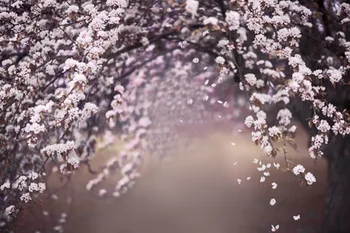 

125*200CM Horizontal New Photography Backdrop Photo Studio Props Newborn Pets Photography Background cloth D-9313