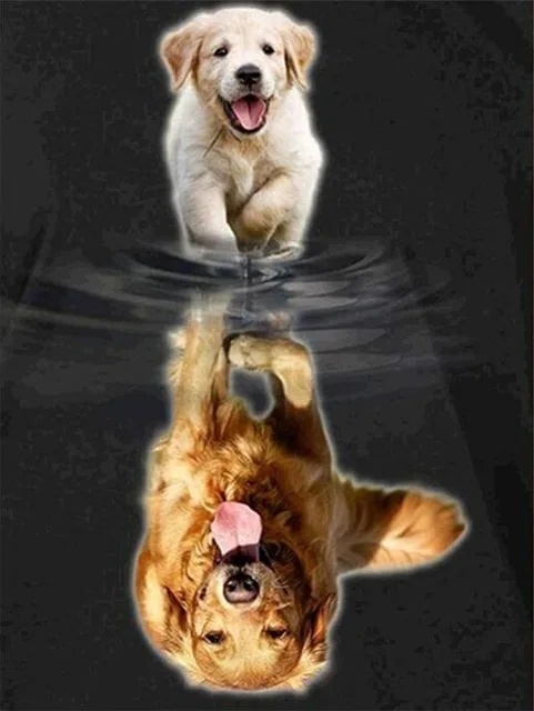 5D алмазная живопись кот Тигр полная квадратная круглая Алмазная вышивка кошки