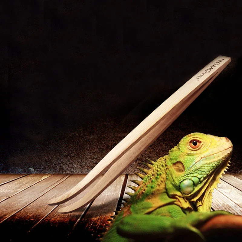 Angled Reptile Terrarium Feeding Tongs Tweezers Eco-Friendly Bamboo Tool APR1_35 | Дом и сад