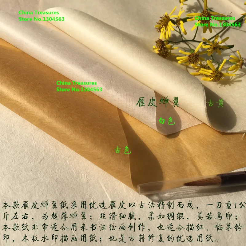 Рисунок 2 - Китайская Цикада