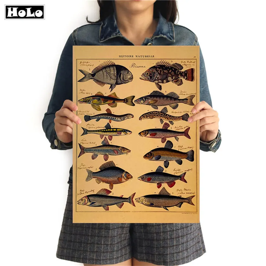 

FISH Vintage craft Paper poster parts decomposition Living Room home cafe bar pub wall sticker painting 42x30cm GGB065