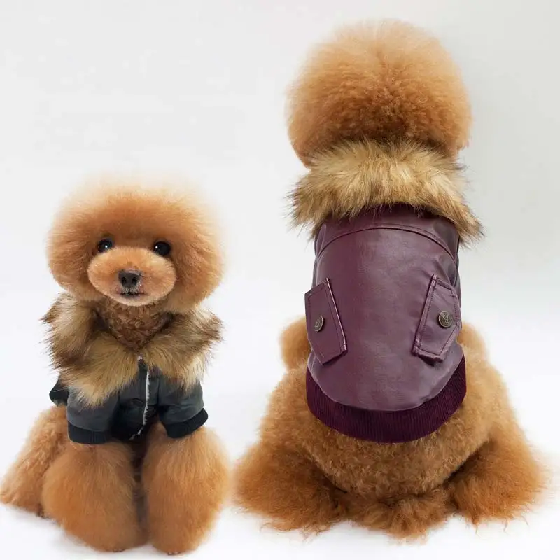 Koop FENG PEI Leren Jas Voor Kleine Honden Teddy Frunch Bulldog Winter Warm Lederen Hond Jas Zwart Wijn Cool Pet Kleding voor Honden