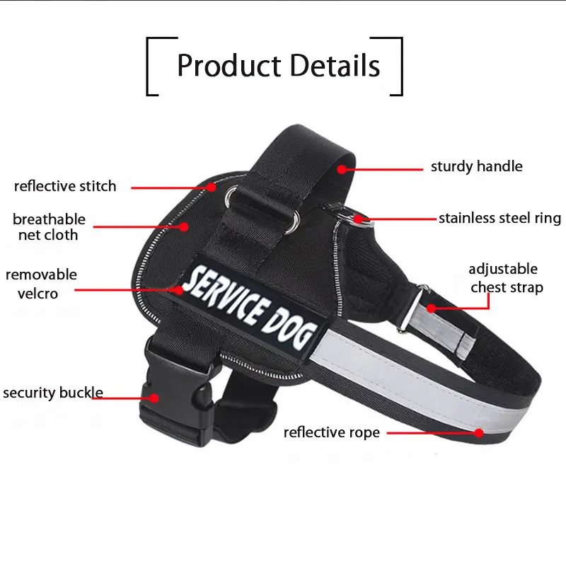 8718072904_494994014