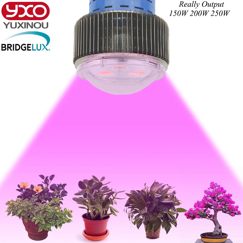 150W 200W 250W LED Grow Light-5