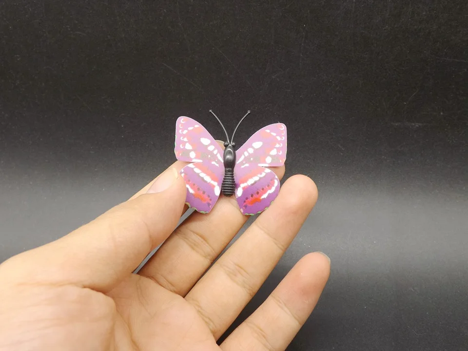 I247-Butterfly (1)