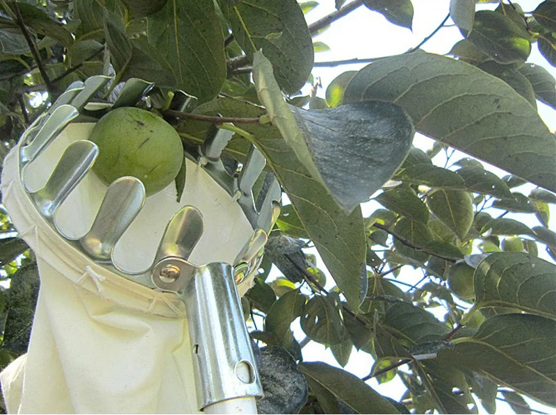 10 MPT Garden Tools Metal Fruit Picker Gardening Picking Apple Citrus Pear Peach High Branches Tree Picking Tool Hand Tools