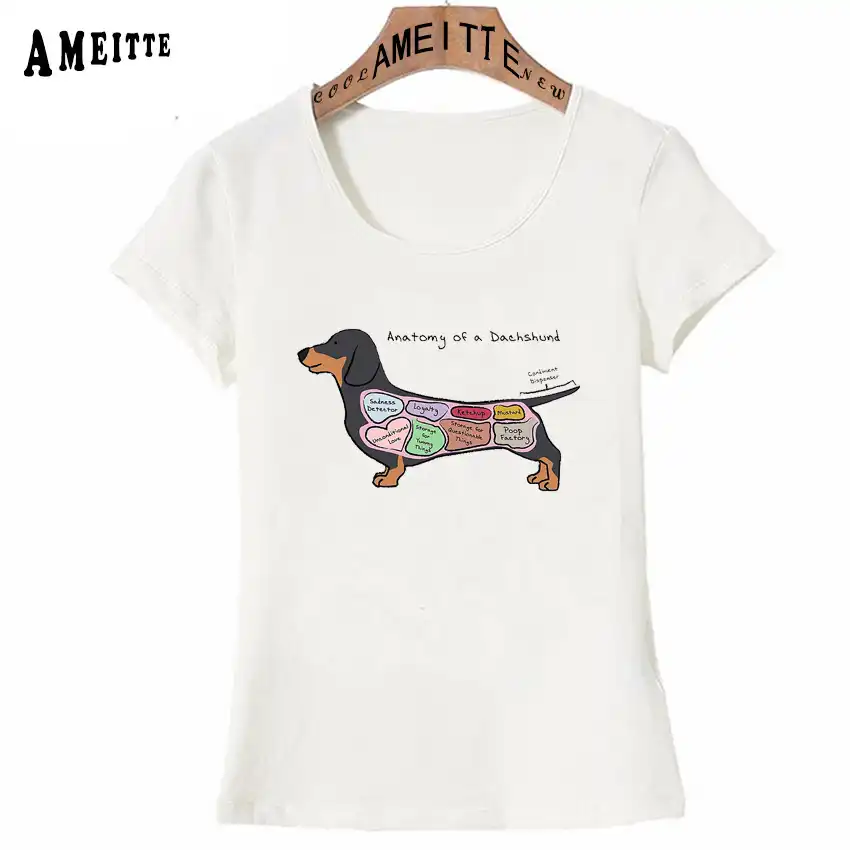 dachshund print clothing