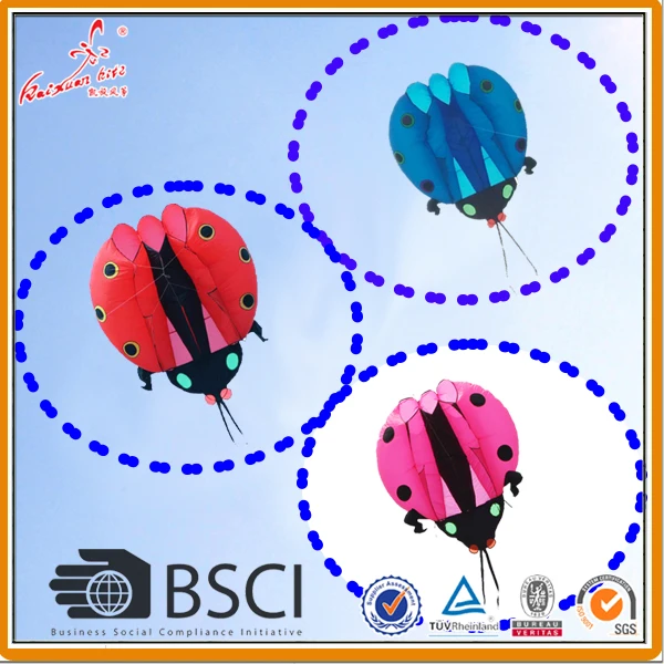

5 sqm Ladybug Kite, soft kite, show kite, Lifter