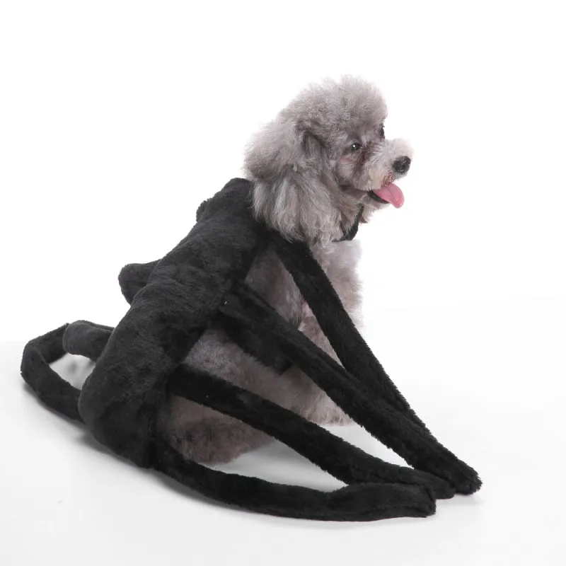 Одежда для собак рубиновый Костюм Компания ПЭТ паук костюм для собаки коллекции святая Борзая Собака Одежда для питомца одежда