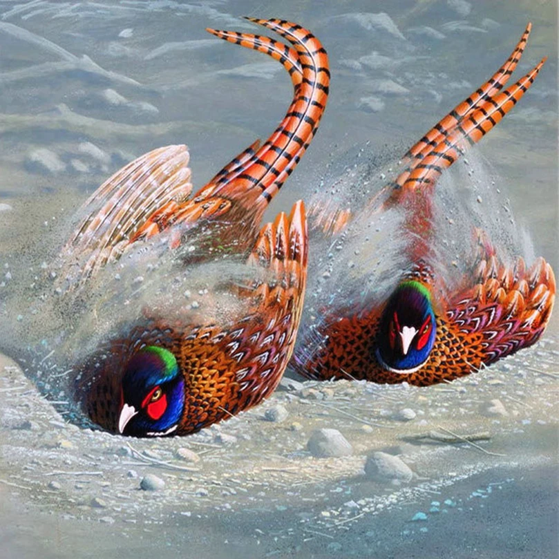 HTB1CX4_NFXXXXX9XpXXq6xXFXXXU