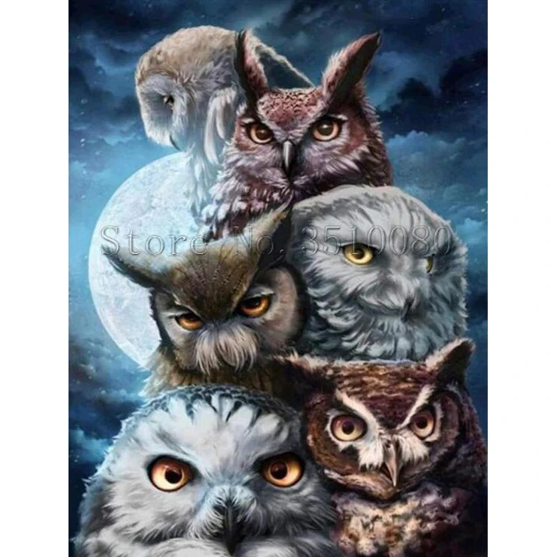 

Animal Owls square Moon Scenic Embroidery paintings Pattern diamond 5D DIY paintings 3D Cross stitch kits mosaic stickers RS1409