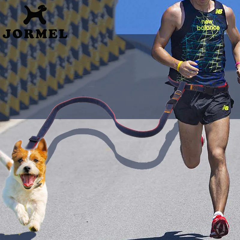

JORMEL 2019 Elastic Waist Dog Leash For Jogging Walking Pet Dog Product Adjustable Nylon Dog Leash With Strip Pet Accessories