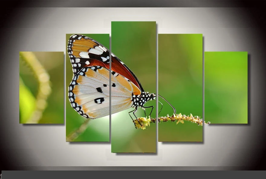 

Art Abstract Indoor Decor 20x35cmx2,20x45cmx2,20x55cm Colorful butterflies print poster canvas in 5 pieces