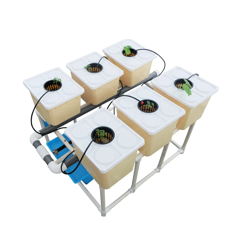 Гидропоника aquaponics помидоры выращивают голландский ковш выращивая