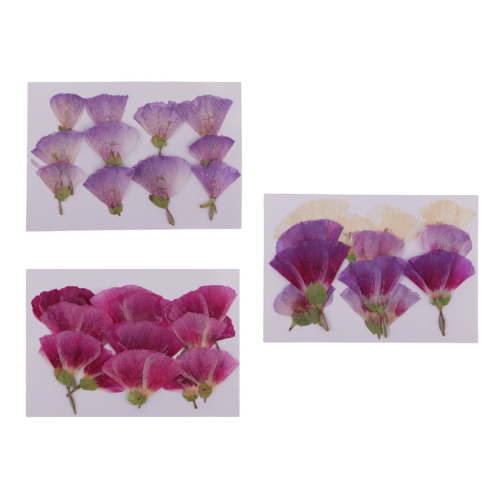 MagiDeal 12x Pressed Real Godetia Flower Dried Flowers DIY Phone Case Scrapbook Craft Artificia Flowers for Wedding Invitations