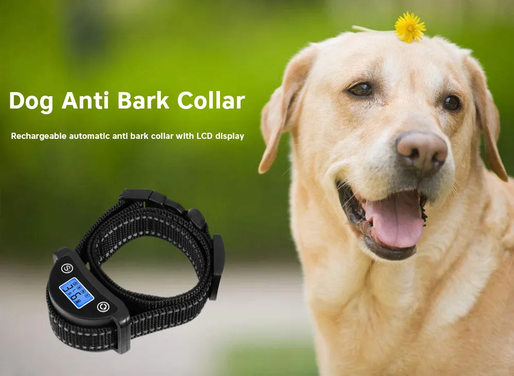 5 уровень чувствительности электрический ошейник для дрессировки собак USB Перезаряжаемый анти-кора Регулируемый ошейник для дрессировки домашних животных ЖК-дисплей тестовая лампа