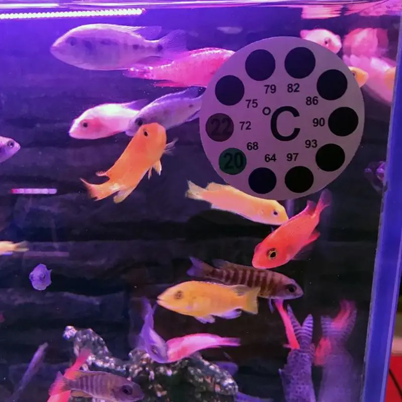 

Aquarium Thermometer Sticker 18 to 36 Temperature Digital Scale Label Stick-on