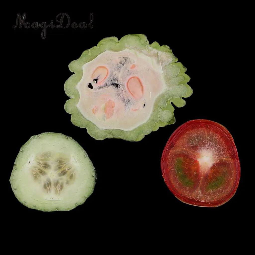 6Pcs Mix Dried Pressed Fruits Slices Plant Herbarium For Epoxy Resin Jewelry Making Phone Case Craft DIY Scrapbooking Decoration