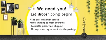 

Dropshipping