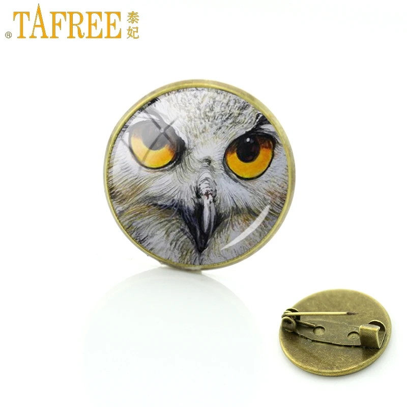 

TAFREE Fashion Charm Animal Owl Evil Eye Brooches Pins Glass Cabochon Dome Art Picture Personality Unisex Badges Jewelry FQ714