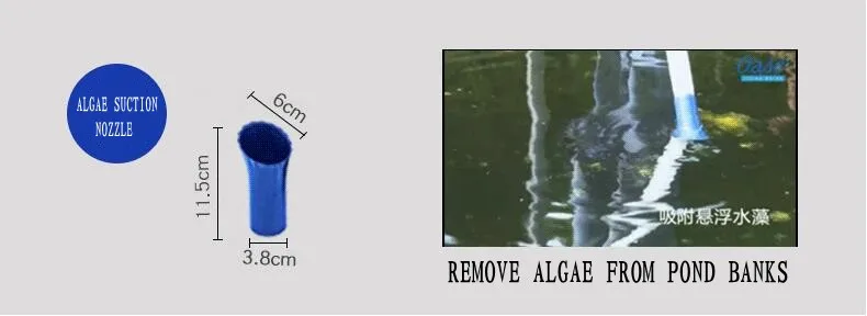 10_conew1
