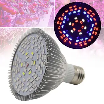 

LED Plant Grow Light Efficient Hydroponic Full Spectrum Growing Lamp 25W Light Bulb E27 Growing Lamps For Garden Flower Plant