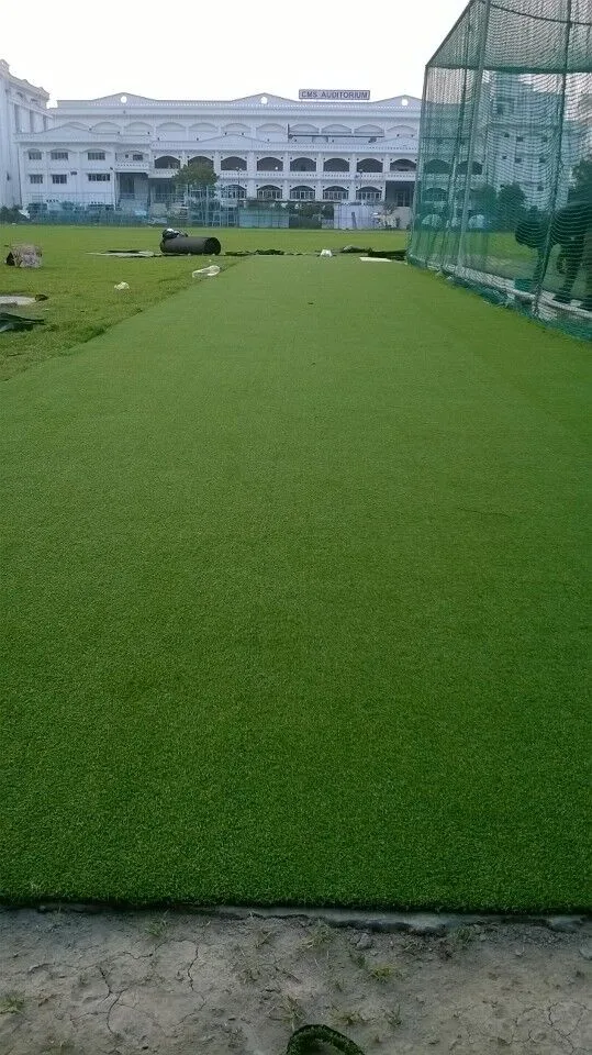 Astro искусственный газон травы для крикета Training