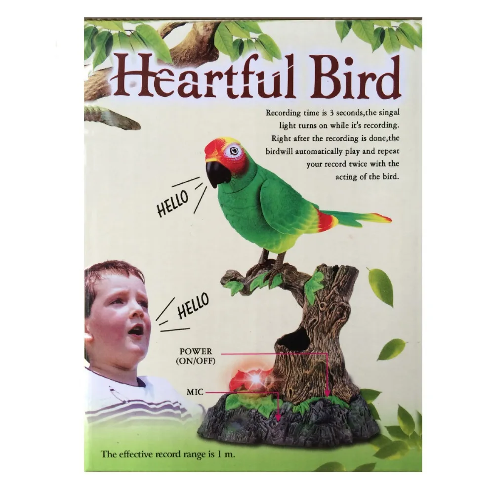 New Arrival Talking Parrot learning to speak singing birds voice