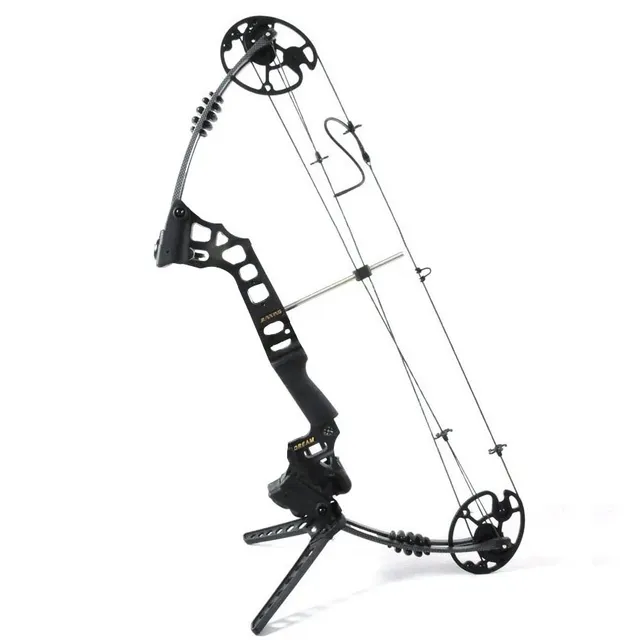 Best price at $169 Cheap Black Dream Aluminum Alloy Compound Bow With 20-70 lbs Draw Weight Camo And Black Color for human outdoor hunting, Archery bow