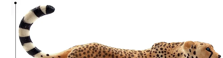 -2---DW-M-LP462-480_08