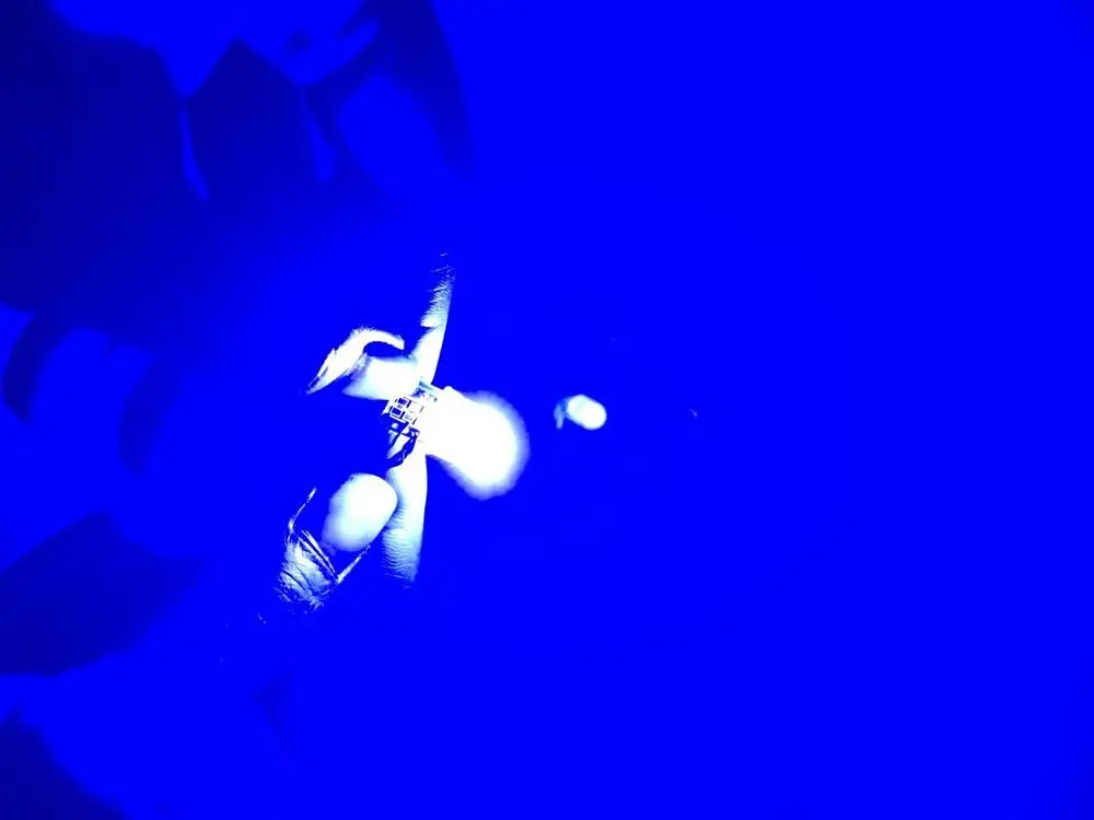10 шт. T10 силиконовые COB светодиодный свет W5W Клин лампы Интерьер 194 168 2825 желтый белый красный синий зеленый фиолетовый - Испускаемый цвет: Синий