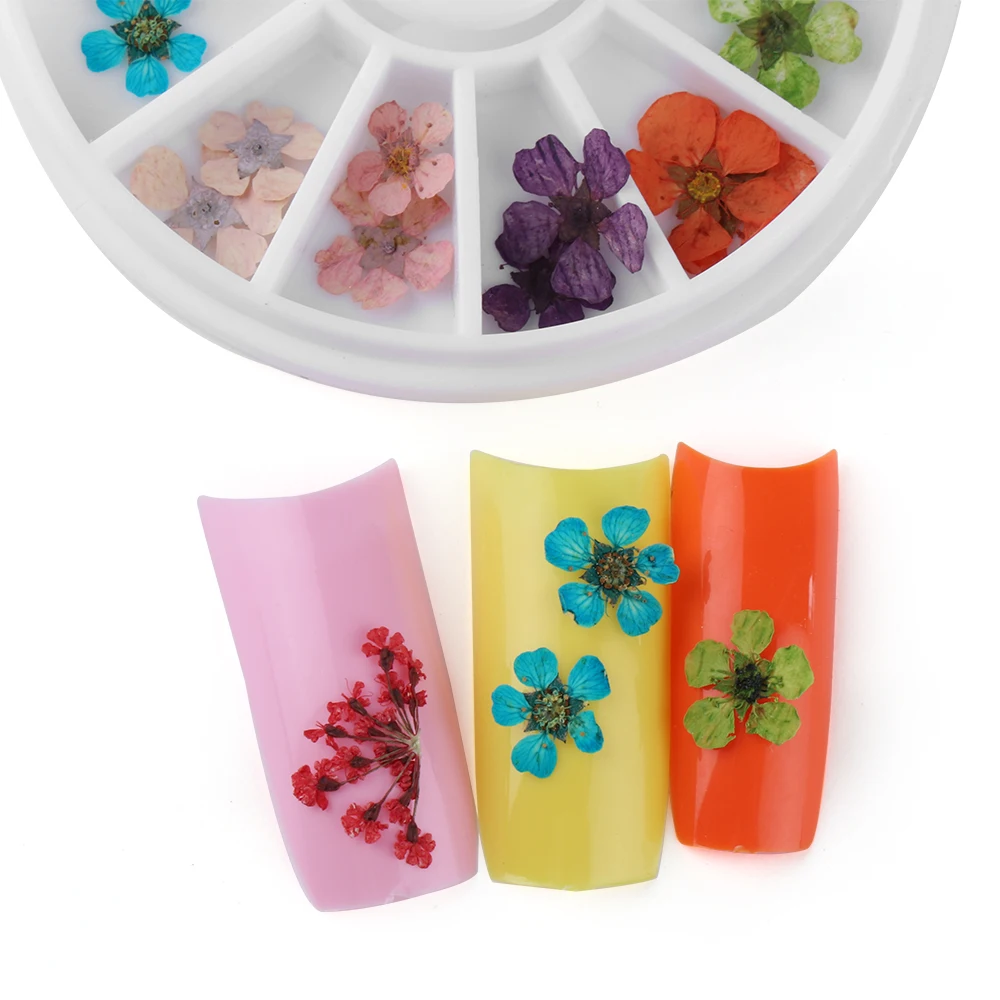 24 шт./колесо DIY 3D смешанные Натуральные сушеные цветы прессованный цветок лист наклейки для дизайна ногтей декоративные наклейки для маникюра
