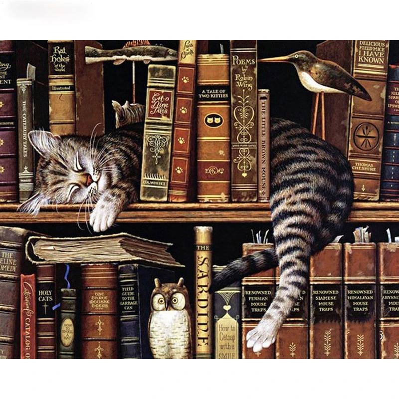 shelves cats